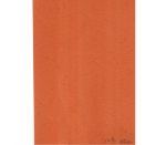A4裝訂封面(國產(chǎn))230G 桔紅